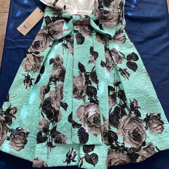 Topshop Mint Green Embossed Floral Print Fit And Flare Backless Dress Size 2 - Picture 9 of 9